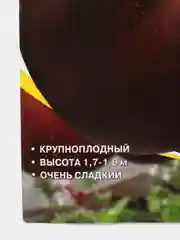 Семена Томат "Чёрный принц", 20 шт (3266238)
