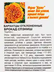 Семена Цветов однолетние Бархатцы "Брокад Спэниш", отклонённые, махровые, 0,25 г