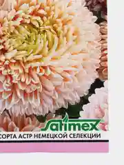 Семена цветов Астра "Леди Корал бежевая", однолетняя, серия Эксклюзив, 0,1 г