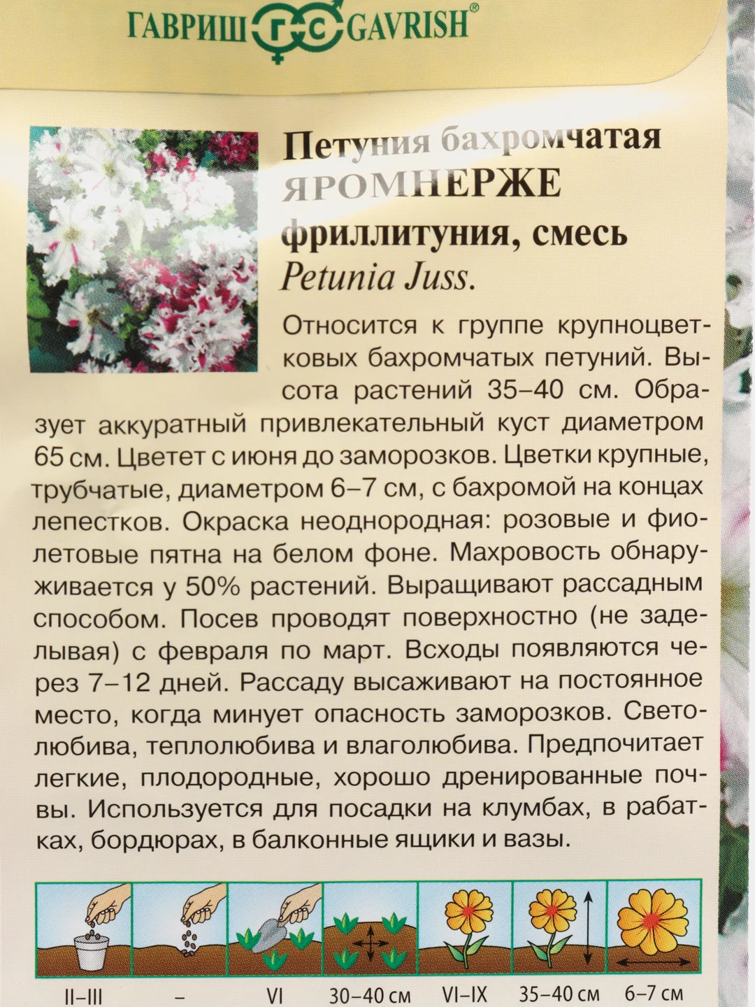 Семена цветов Петуния "Яромнерже", 7 штук