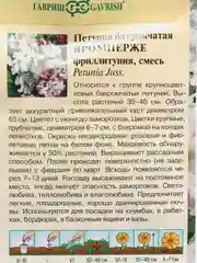 Семена цветов Петуния "Яромнерже", 7 штук