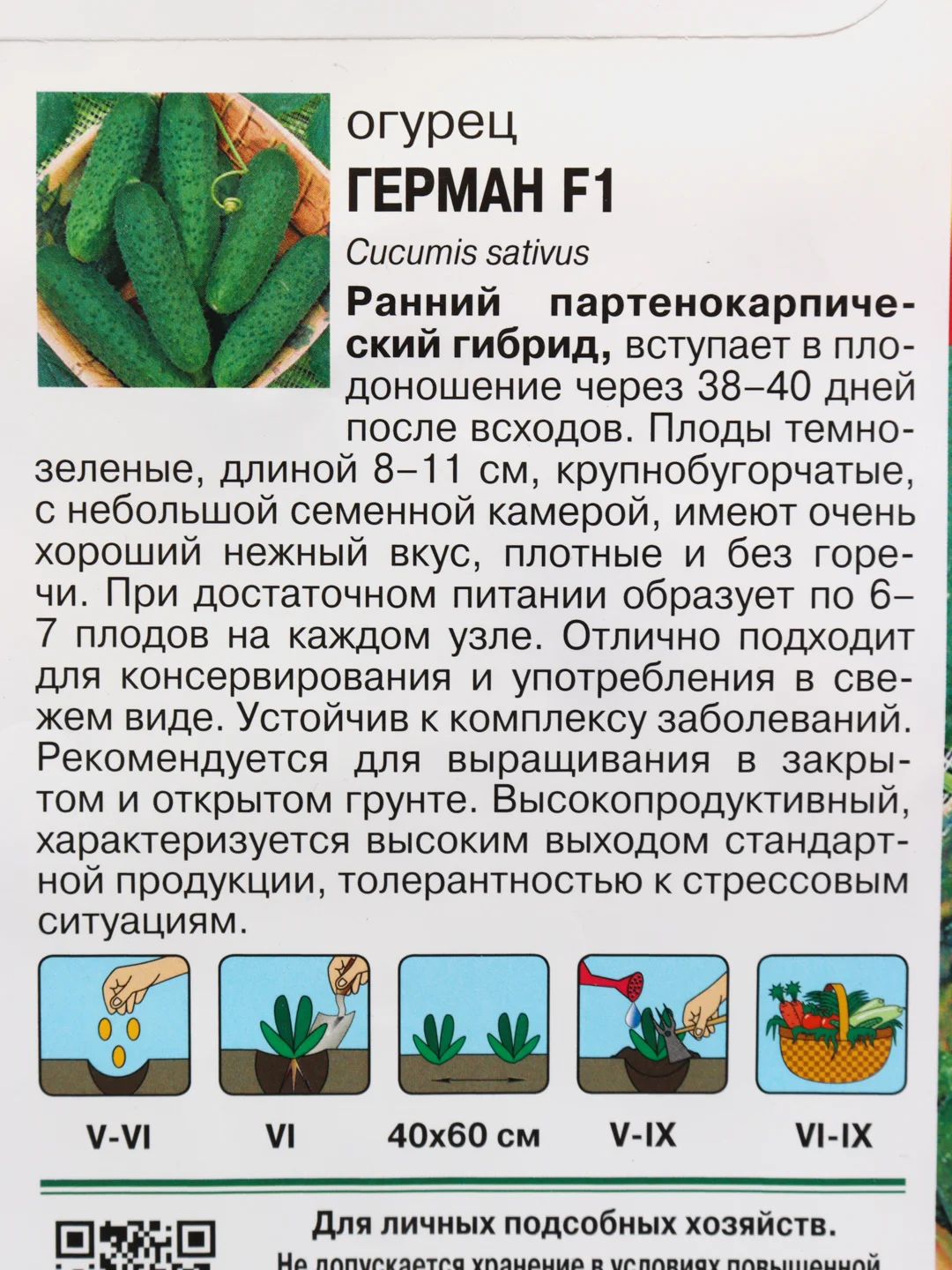 Семена Огурец "Герман" F1, 8-9 штук