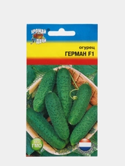 Семена Огурец "Герман" F1, 8-9 штук