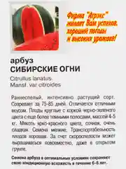 Семена Арбуз "Сибирские огни", 10 штук