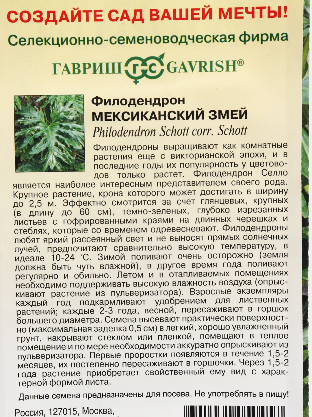 Семена комнатных цветов Филодендрон Селло "Мексиканский змей", Мн., 5 шт