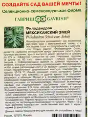 Семена комнатных цветов Филодендрон Селло "Мексиканский змей", Мн., 5 шт