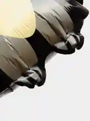 Серый воздушный шар: Пингвин