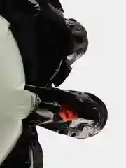 Угольный воздушный шар: Пингвин