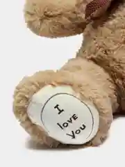 Плюшевый Мишка, Плюшевый медведь, мягкая игрушка, I love you, 90 см, кофейный