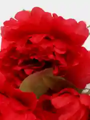 Красный цветы  искусственные пион