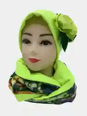 Лайм шапка молодежная, с хомутом, пять видов