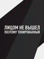 Наклейка на автомобиль "Лицом не вышел"
