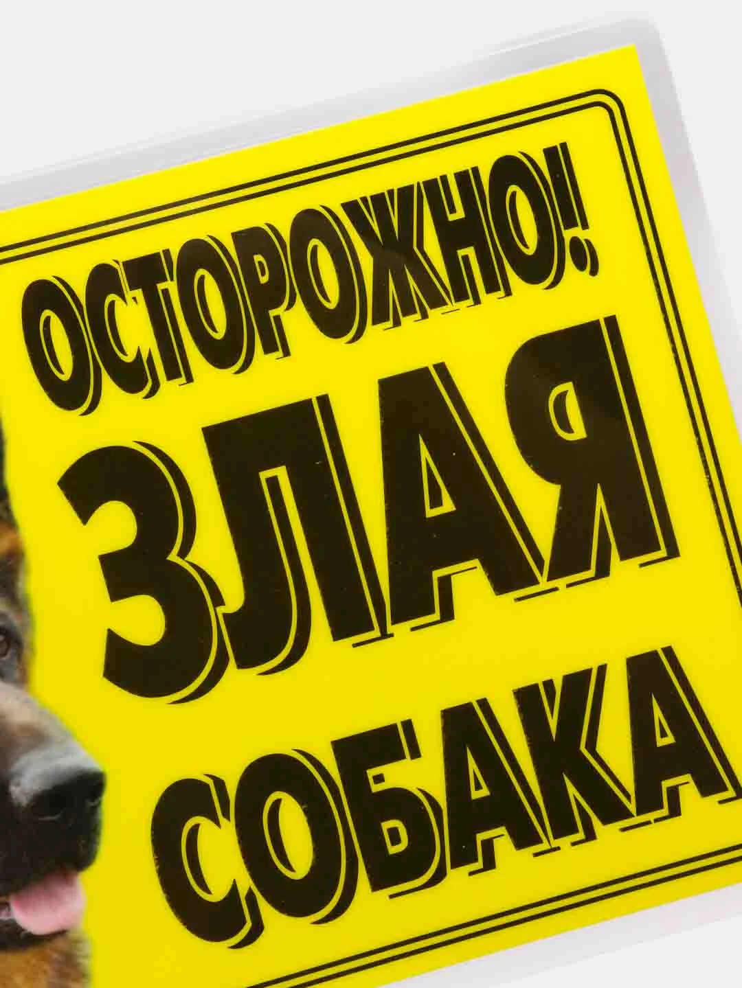 Табличка ламинированная "Осторожно! Злая собака"