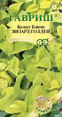 Семена Колеус Блюме "Визард голден" 5 шт