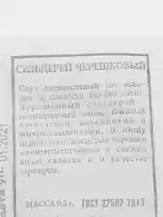 Сельдерей "Черешковый", семена