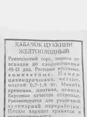 Семена кабачка "Желтоплодный"