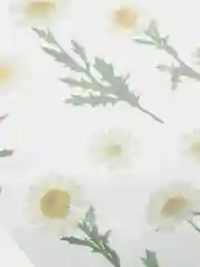 Белый декоративные наклейки для творчества. Серия растения