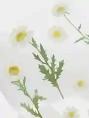 Белый декоративные наклейки для творчества. Серия растения