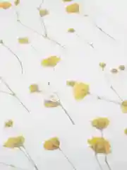 Желтый декоративные наклейки для творчества. Серия растения