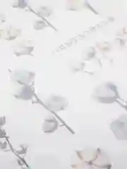 Белый декоративные наклейки для творчества. Серия Цветы