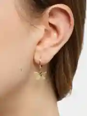 Серьги, сережки подвески