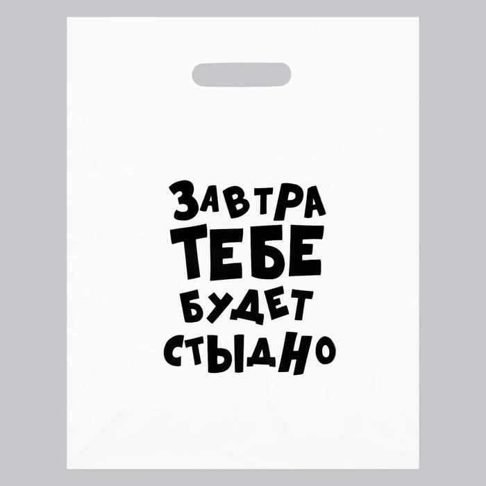Пакет с приколами "Завтра тебе будет стыдно", 31 х 40 см, 60 мкм