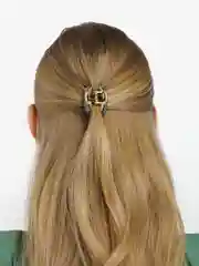 Черный заколка краб