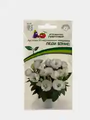 Семена цветов Эустома "Леди бэнкс". Партнер