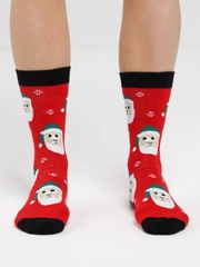 Носки DMDBS Mery Christmas