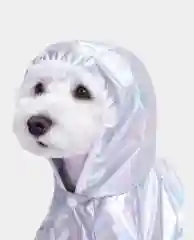 Белый дождевик для собак и кошек, голографический, с капюшоном