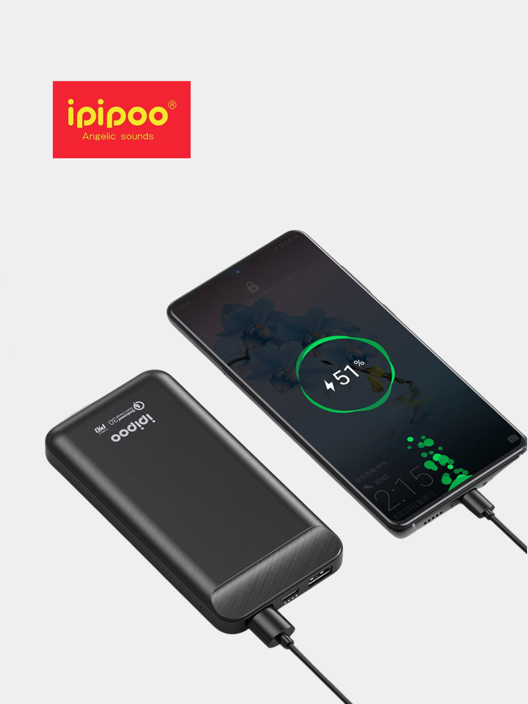 Ipipoo lp online 51