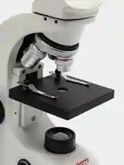 Микроскоп биологический Микромед С-11 (вар. 1B LED)