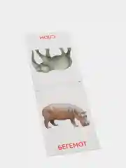 Мятный развивающие карточки по методике Г. Домана в одном месте (мега)
