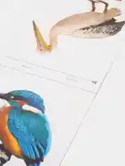 Зеленый развивающие карточки по методике Г. Домана в одном месте (мега)