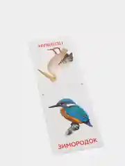 Зеленый развивающие карточки по методике Г. Домана в одном месте (мега)