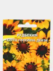 Семена цветов Рудбекия "Хирта Глориоза Дейзи", многолетние, 0,1