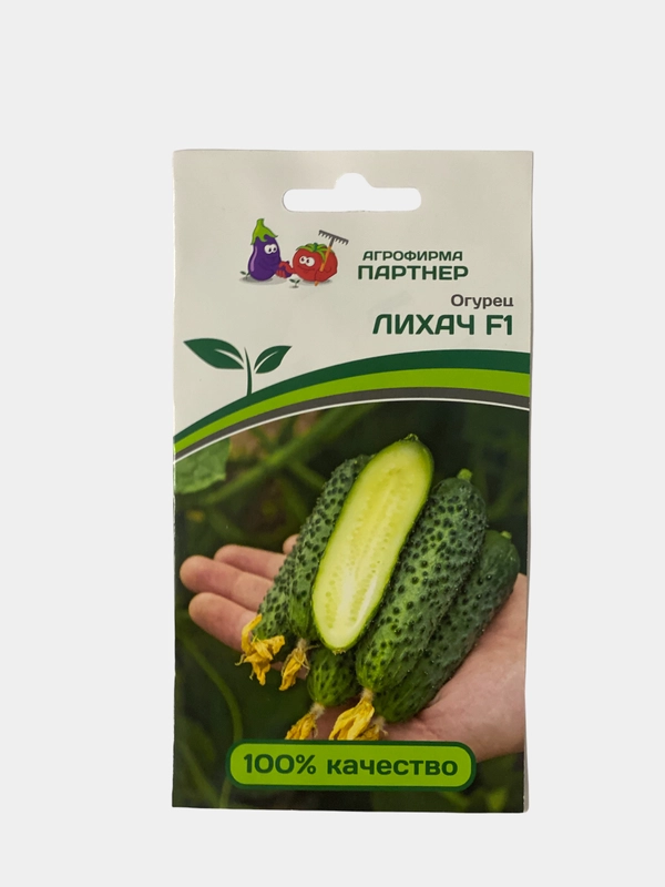 Огурцы Эстет Отзывы Фото