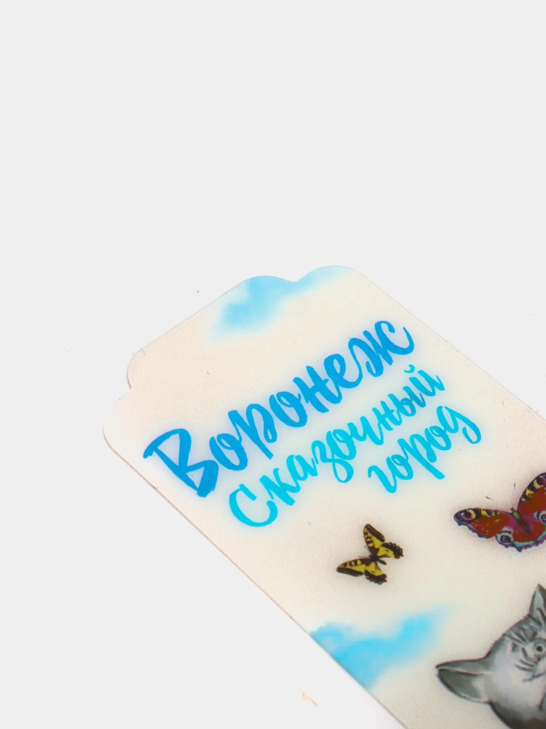 Закладка "Воронеж"
