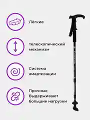 Палки для скандинавской ходьбы
