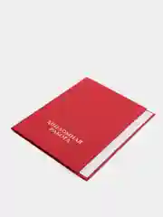 Папка Calligrata "Дипломная работа", А4, без листов, гребешки, красный