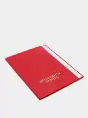 Папка Calligrata "Дипломная работа", А4, без листов, гребешки, красный