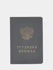 Серый трудовая книжка