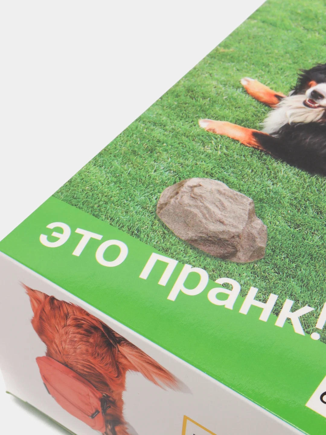 Коробка складная c приколом, "Спрячь", 29 х 23 х 9 см