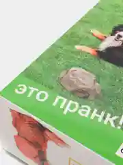 Коробка складная c приколом, "Спрячь", 29 х 23 х 9 см