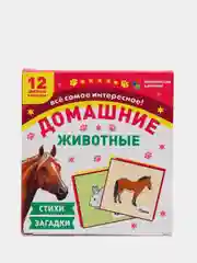 Домашние животные: 12 цветных карточек. Стихи и загадки
