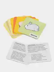 Домашние животные: 12 цветных карточек. Стихи и загадки