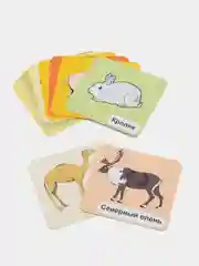 Домашние животные: 12 цветных карточек. Стихи и загадки