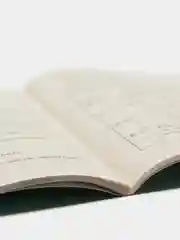 Русский язык 1-4 классы, правила, понятия, разборы, словарь-справочник