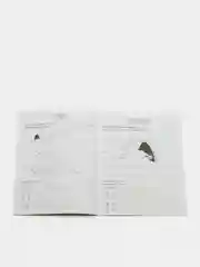 Прописи. Английский в стихах и картинках: животные. Для детей 6-7 лет