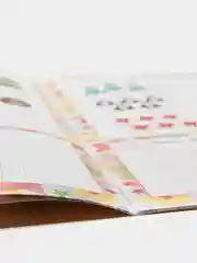 Математика. Числа и цифры: сборник развивающих заданий